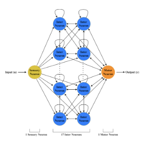 Project image: Liquid Time Constant Networks for Engineered Systems
